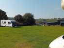Large ehu field.