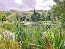 Loved our walk around the lake