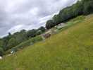 View from the tent