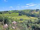 Views around