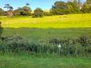 View from back of allocated pitches. camper van field