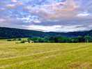 Field view