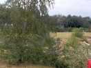 View from motor home