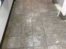 Dirty ladies toilets