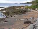 Small bay 200m from site