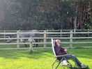 Nosey cows 2024