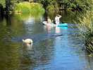 Paddle boarding on the river