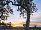 View from the campground