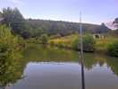 Revels fishery