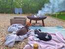 The fur babies enjoying th view and the fire.