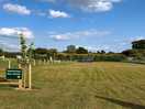 Flat grass area even for off-grid stops