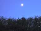 Night sky