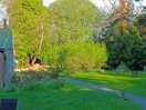 Walled garden area