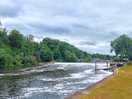 Lovely walks on the doorstep along the trent