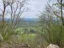 Hiking