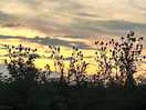 Beautiful sunset