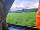 View from the tent
