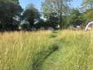Winding path through the meadow, looking towards our pitch.