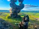 Dog friendly on lead