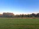Pitch view