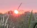 Beautiful sunset