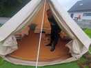 Glamping tents for rent