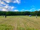 Lovey open field