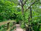Walk in malmesbury