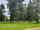 Campsite