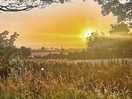 Early morning sun, taken from the swing at the back of the recreation field