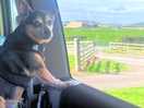 Even little holly enjoyed the view