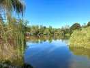 The lake with a view of the snack bar.
