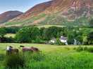 Avondwandeling vanaf de camping