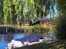 River view