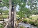 Just next to campsite