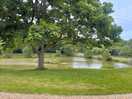 Another lake