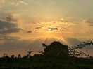 Summer sunset