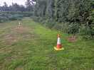 Cones not to park.
