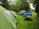 Our pitch
