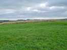 Top field, great for kite flying