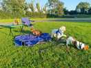 Canine camping.