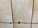 Rusted scans dirty tiles