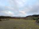 Walk around the estate