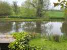 Beautiful morning view , great spot for a cup of coffee.