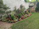 Jardin municipal