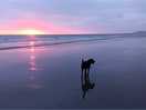 Borth beach sunset walk back to ty gwern campsite. 😊