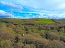 Drone footage of the area