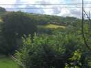 View from house entry