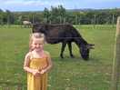 Kids loved the animals