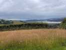 View from the tent